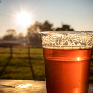 A plastic cup of beer glistens in the sunset at a park in Lucinico, Italy.